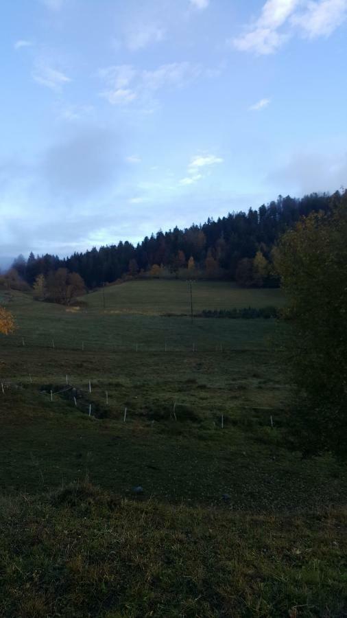 Residence Vallee Des Lacs Le Tholy Kültér fotó
